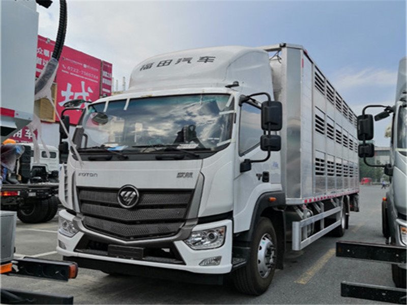 7.8米福田歐航運(yùn)豬車廠家